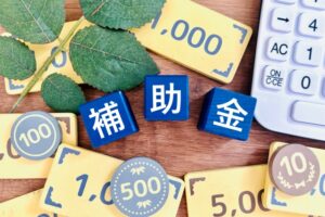 解体補助金のアイキャッチ